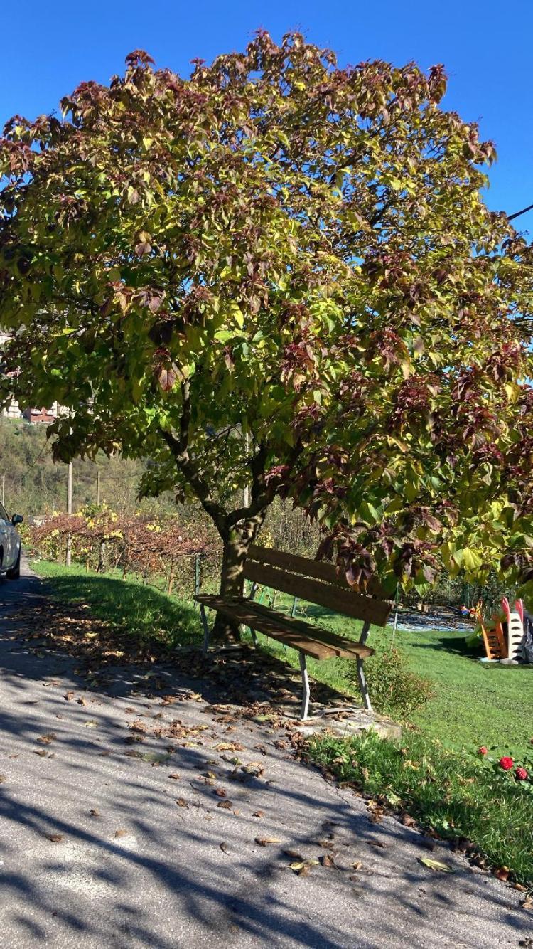 Cascina Uertigher Gorno Екстер'єр фото