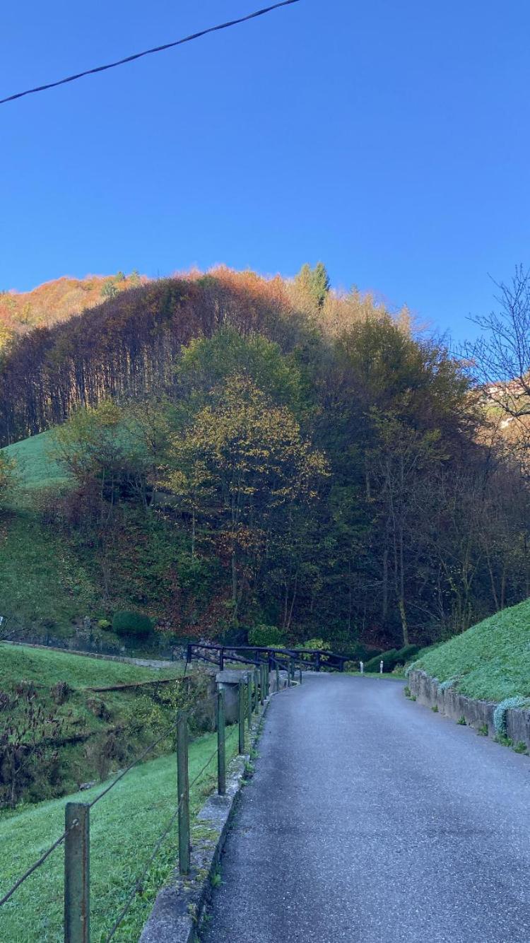 Cascina Uertigher Gorno Екстер'єр фото
